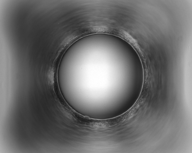 X0000094320106200711021359