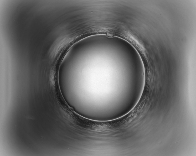 X0000094320107200711021359
