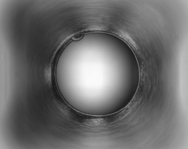 X0000094320108200711021359