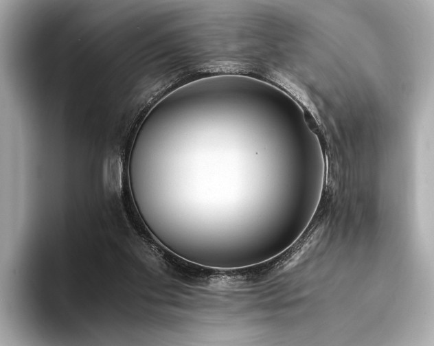 X0000094320109200711021359