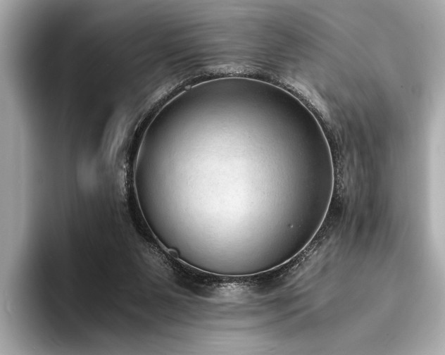 X0000094320111200711021359