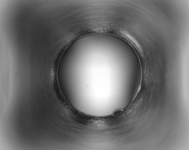 X0000094320113200711021359