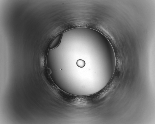 X0000094320117200711021359