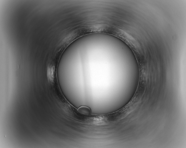 X0000094320118200711021359