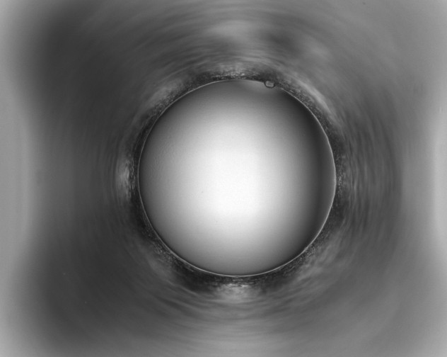 X0000094320119200711021359