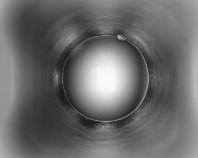 X0000094320123200711021358
