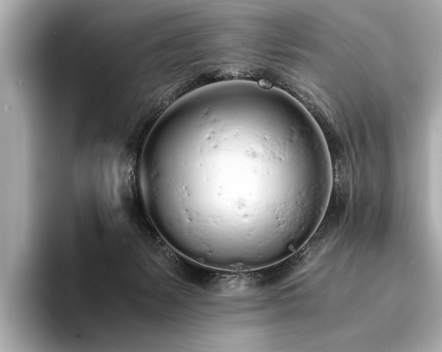 X0000094320127200711021358