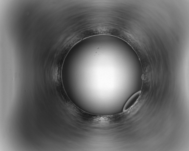 X0000094320140200711021358