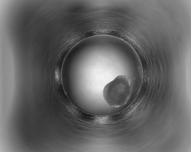 X0000094320143200711021358