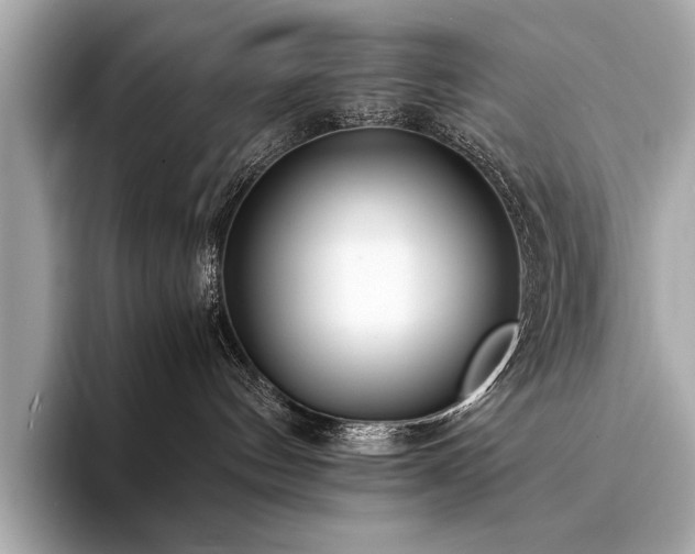 X0000094320144200711021358