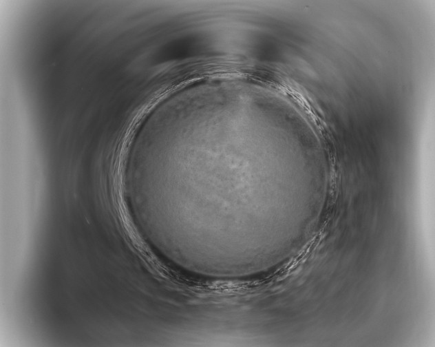 X0000094320145200711021358
