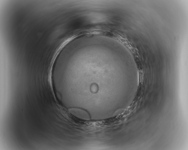X0000094320147200711021358