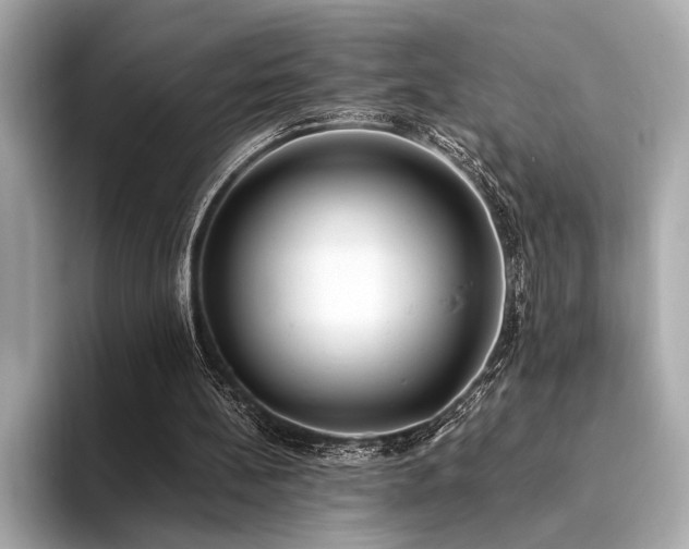 X0000094320148200711021358