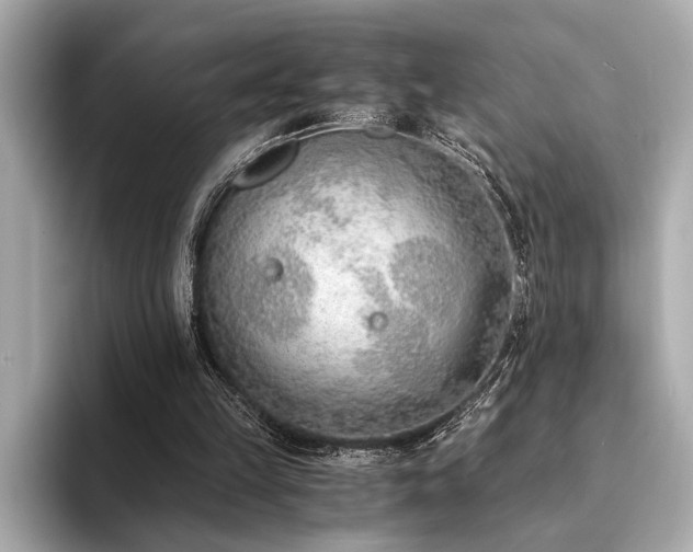 X0000094320149200711021358