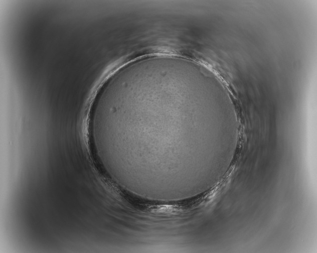 X0000094320151200711021358