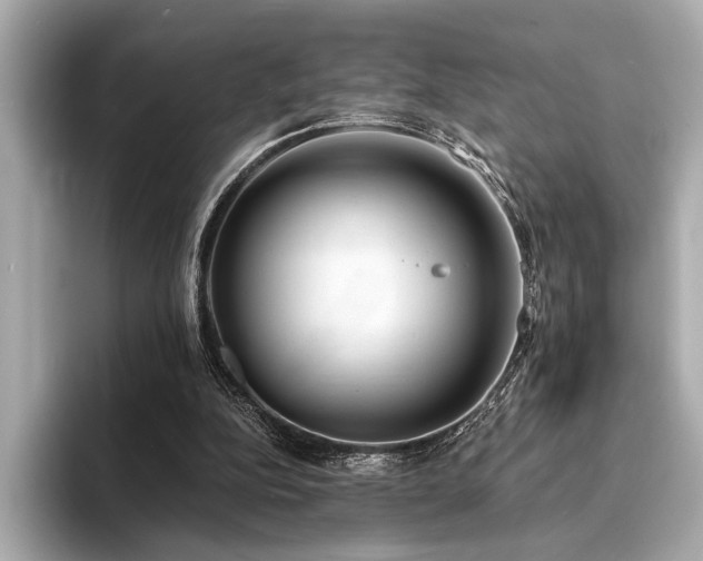 X0000094320152200711021358
