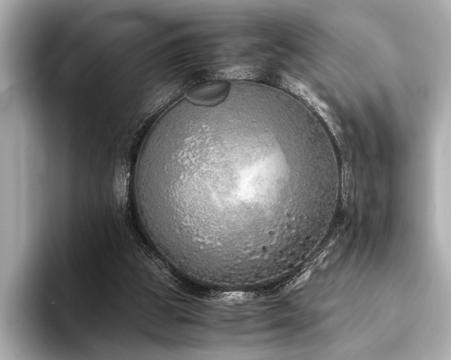 X0000094320153200711021358