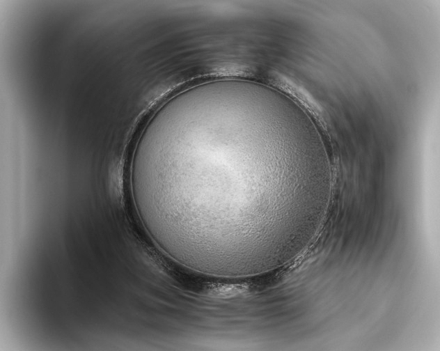 X0000094320155200711021358