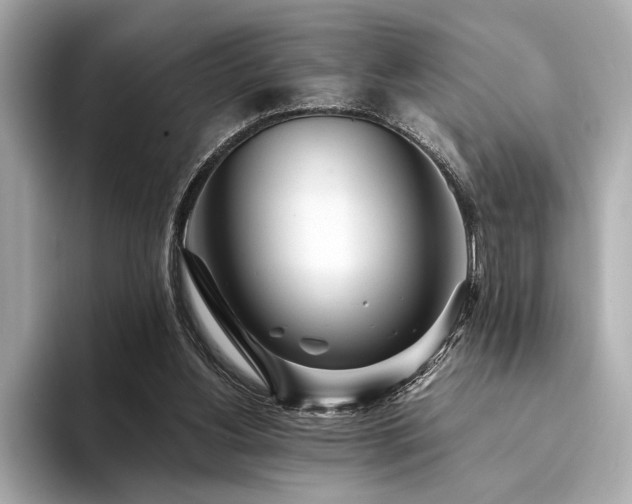 X0000094320156200711021358