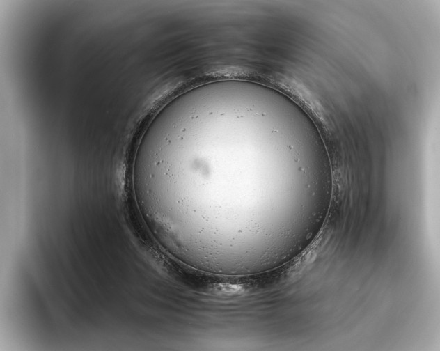 X0000094320159200711021358