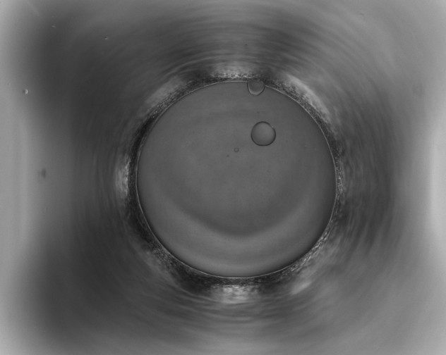 X0000094320163200711021358