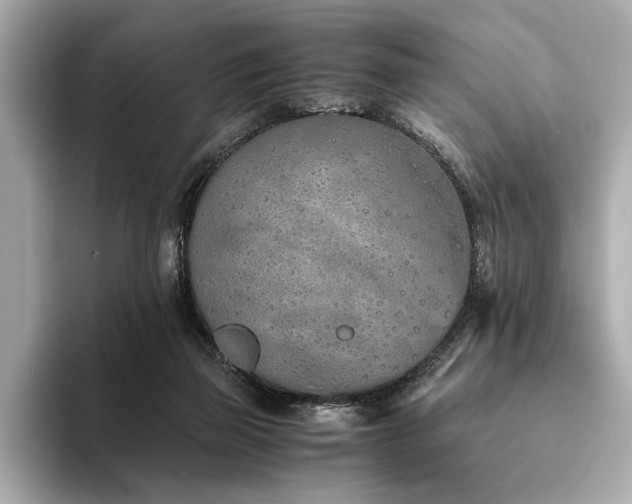 X0000094320165200711021358