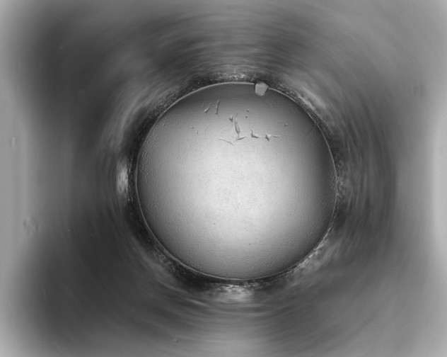 X0000094320166200711021358