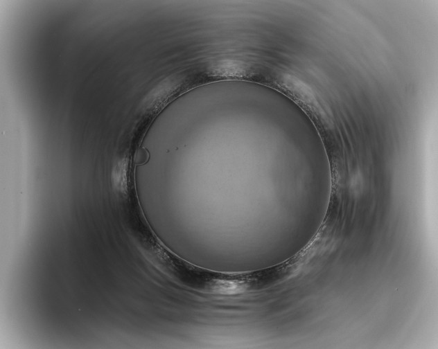 X0000094320167200711021358