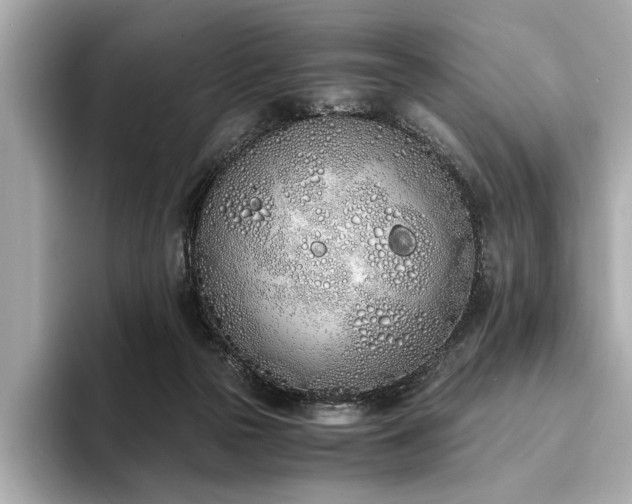 X0000094320169200711021358