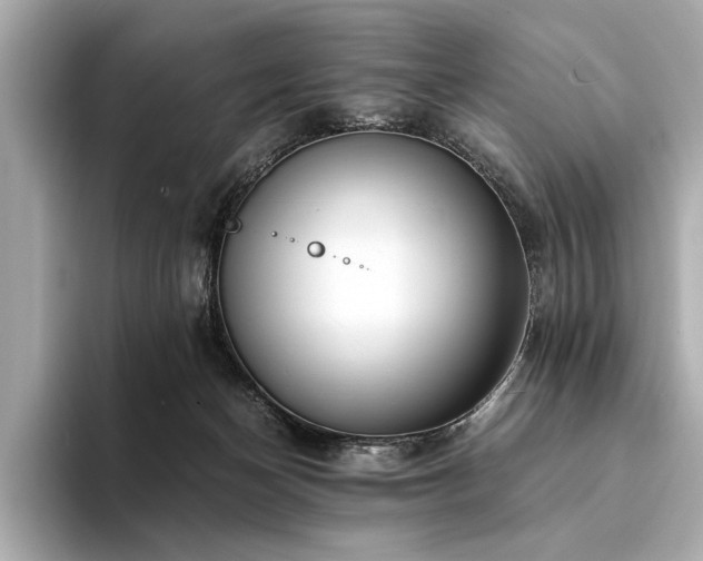 X0000094320174200711021358