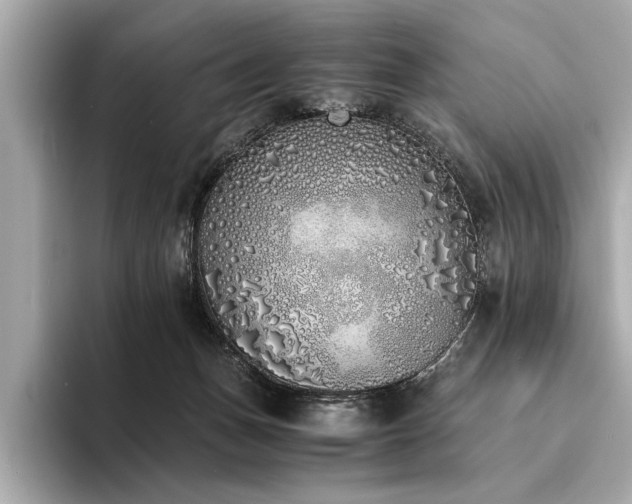 X0000094320175200711021358