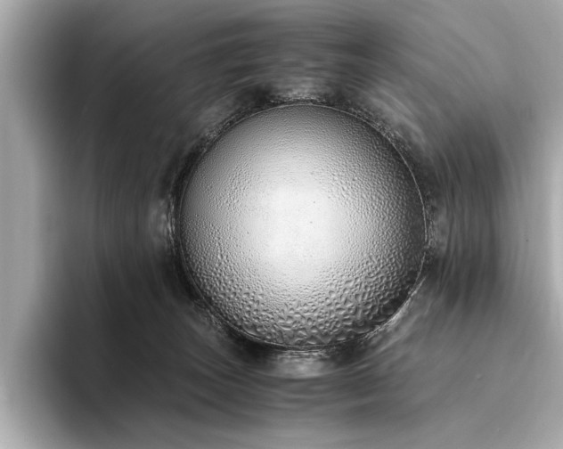 X0000094320179200711021358