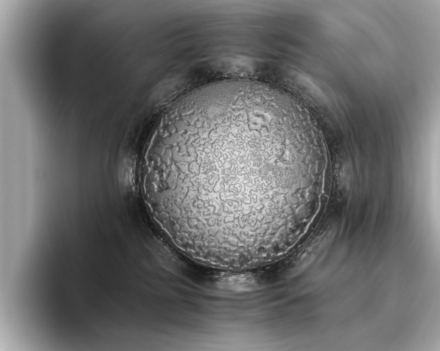 X0000094320185200711021358