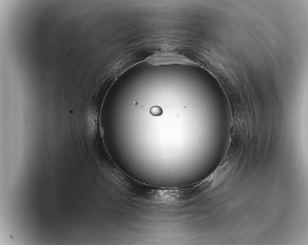 X0000094320188200711021358