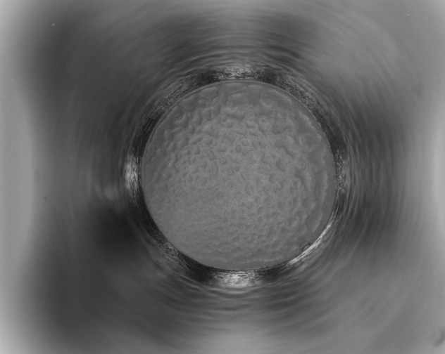X0000094320191200711021358