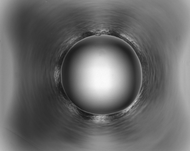 X0000094320192200711021358