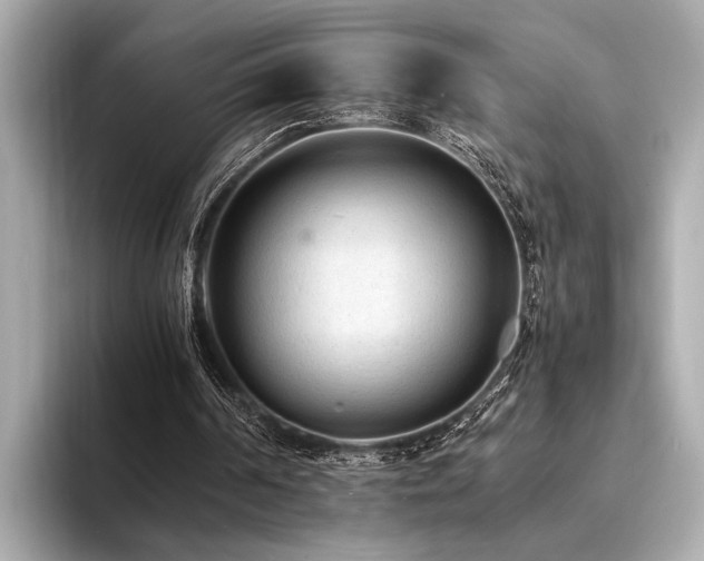 X0000094320194200711021358