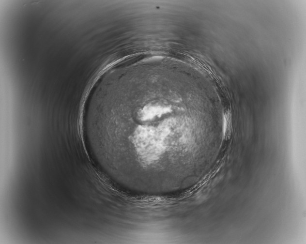 X0000094320195200711021358
