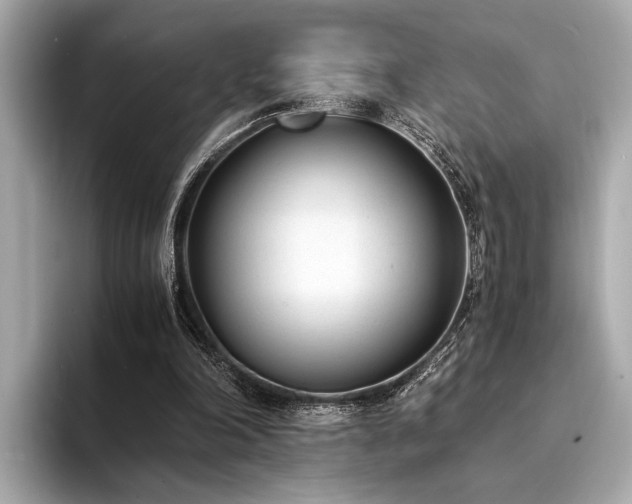 X0000094320198200711021358