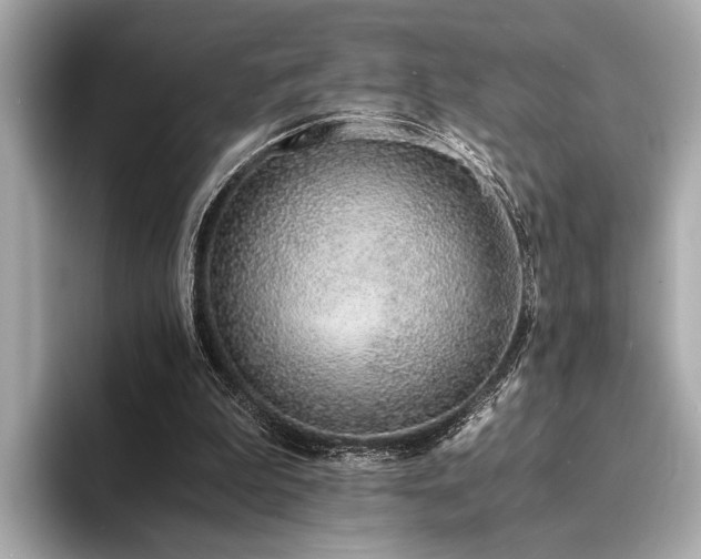 X0000094320199200711021358