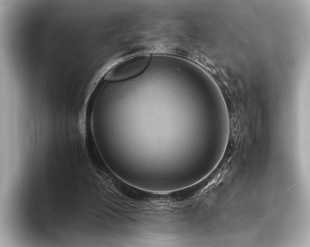 X0000094320200200711021358