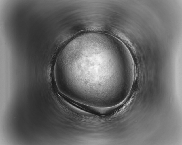 X0000094320201200711021358