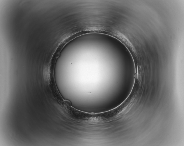 X0000094320204200711021358