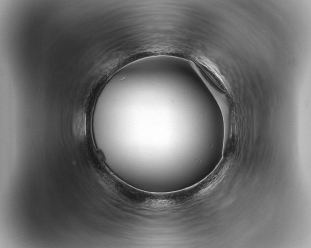 X0000094320205200711021358