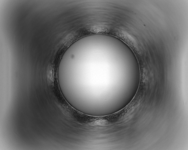 X0000094320210200711021357