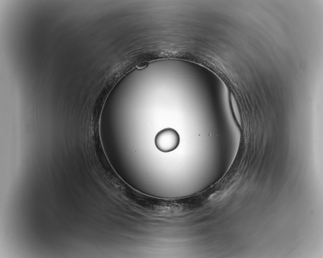 X0000094320215200711021357