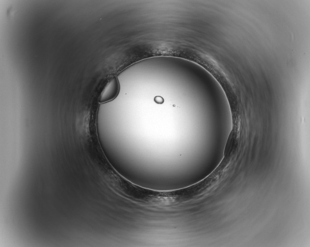 X0000094320217200711021357