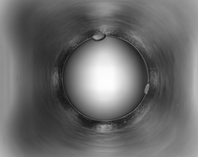 X0000094320220200711021357