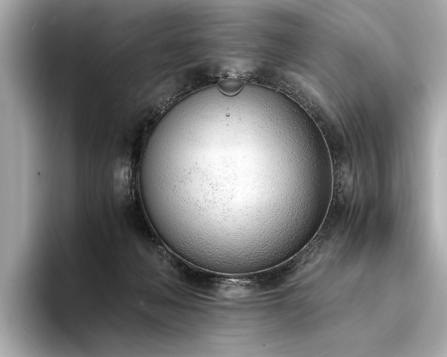 X0000094320222200711021357