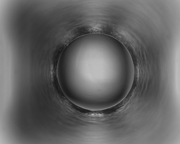 X0000094320223200711021357